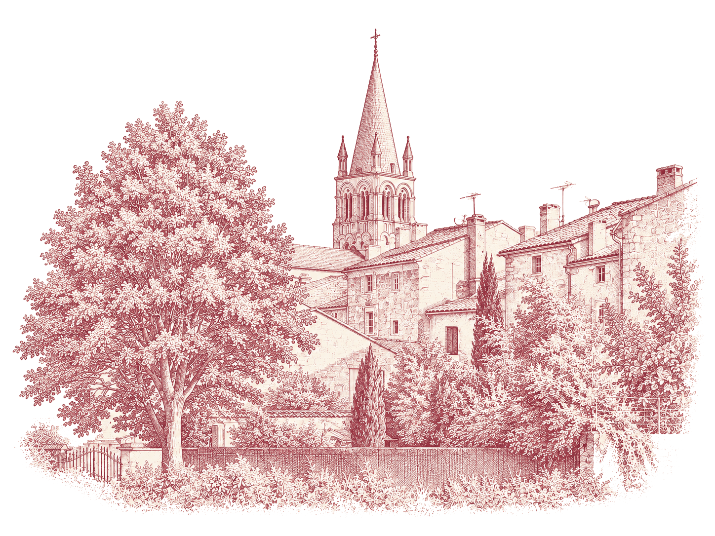 Illustration of Saint-Estèphe