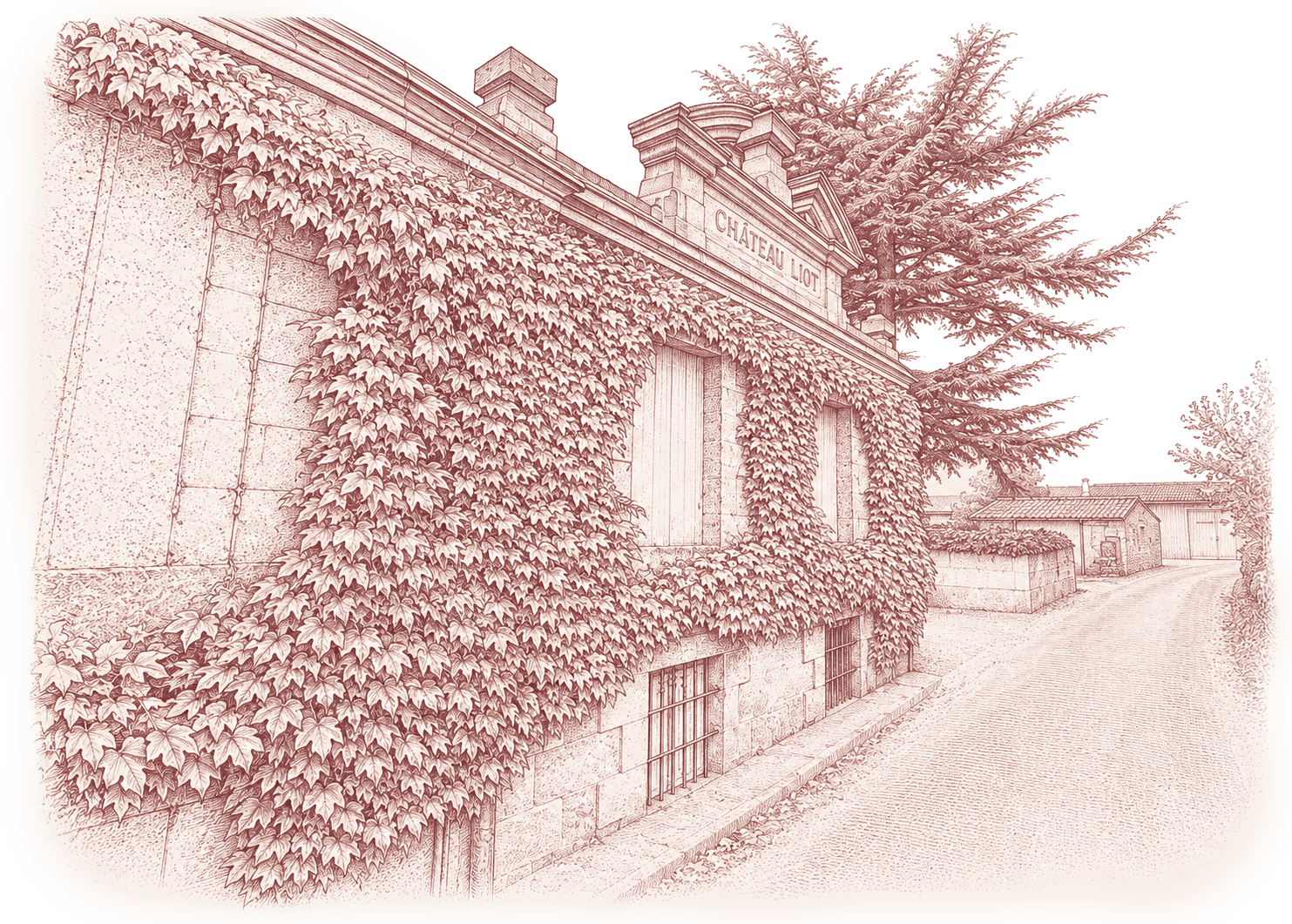 Illustratie van Château Liot
